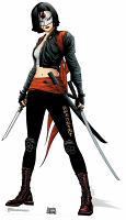 Katana (Suicide Squad Comic Artwork) Cutout