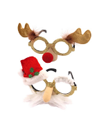 Santa and Reindeer Novelty Glasses - Pack of 2