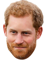  Prince Harry (Beard)