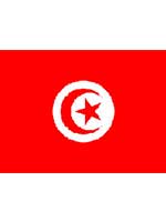 Tunisia Flag 5ft x 3ft 