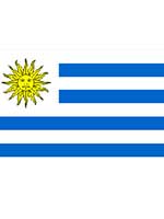 Uruguay Flag 5ft x 3ft With Eyelets