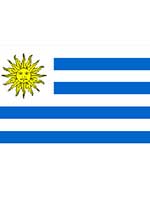 Uruguay Flag 5ft x 3ft With Eyelets
