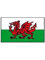 Wales/Welsh Flag 5ft x 3ft  (100% Polyester) With Eyelets For Hanging