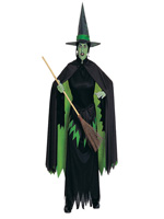 Wicked Witch from Wizard of Oz