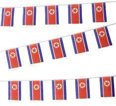 Costa Rica Bunting 6m 20 Flag