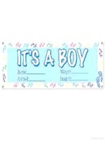 It's A Boy Banner