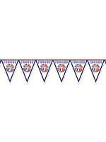 France Football Bunting   