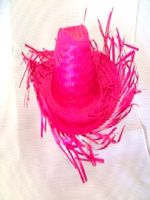 Caribbean Straw Hat In Bright Pink (1)   