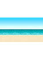 Blue Sky And Ocean Backdrop